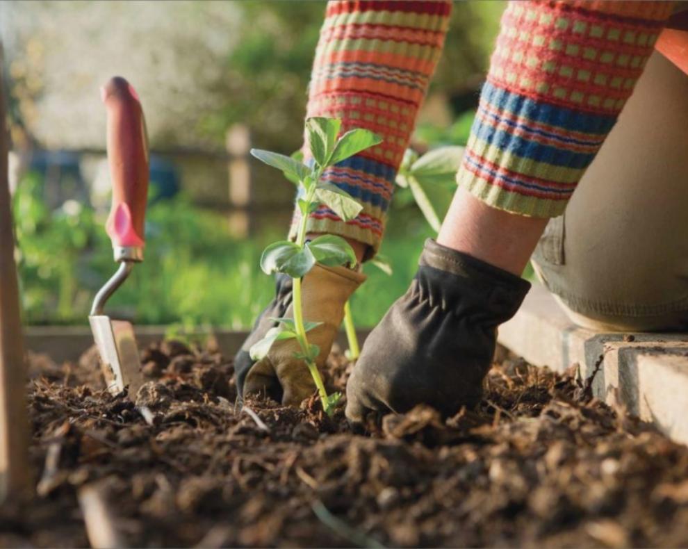 Travaux de Jardinage