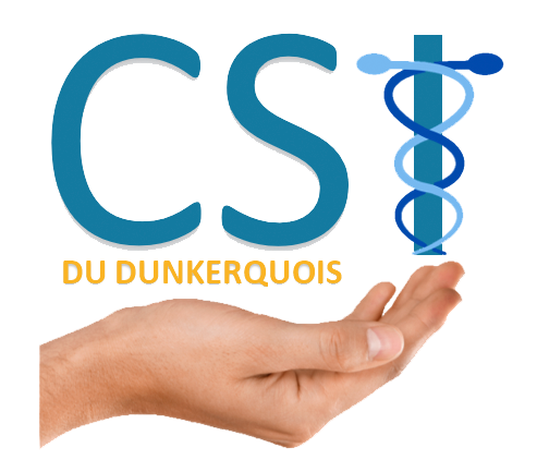 logo csi